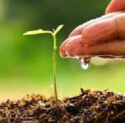 Crop Protection Blog